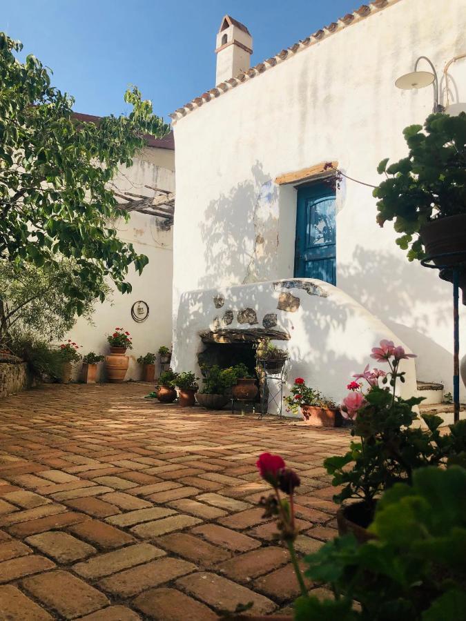 B&B Corte San Lussorio Oliena Exterior foto
