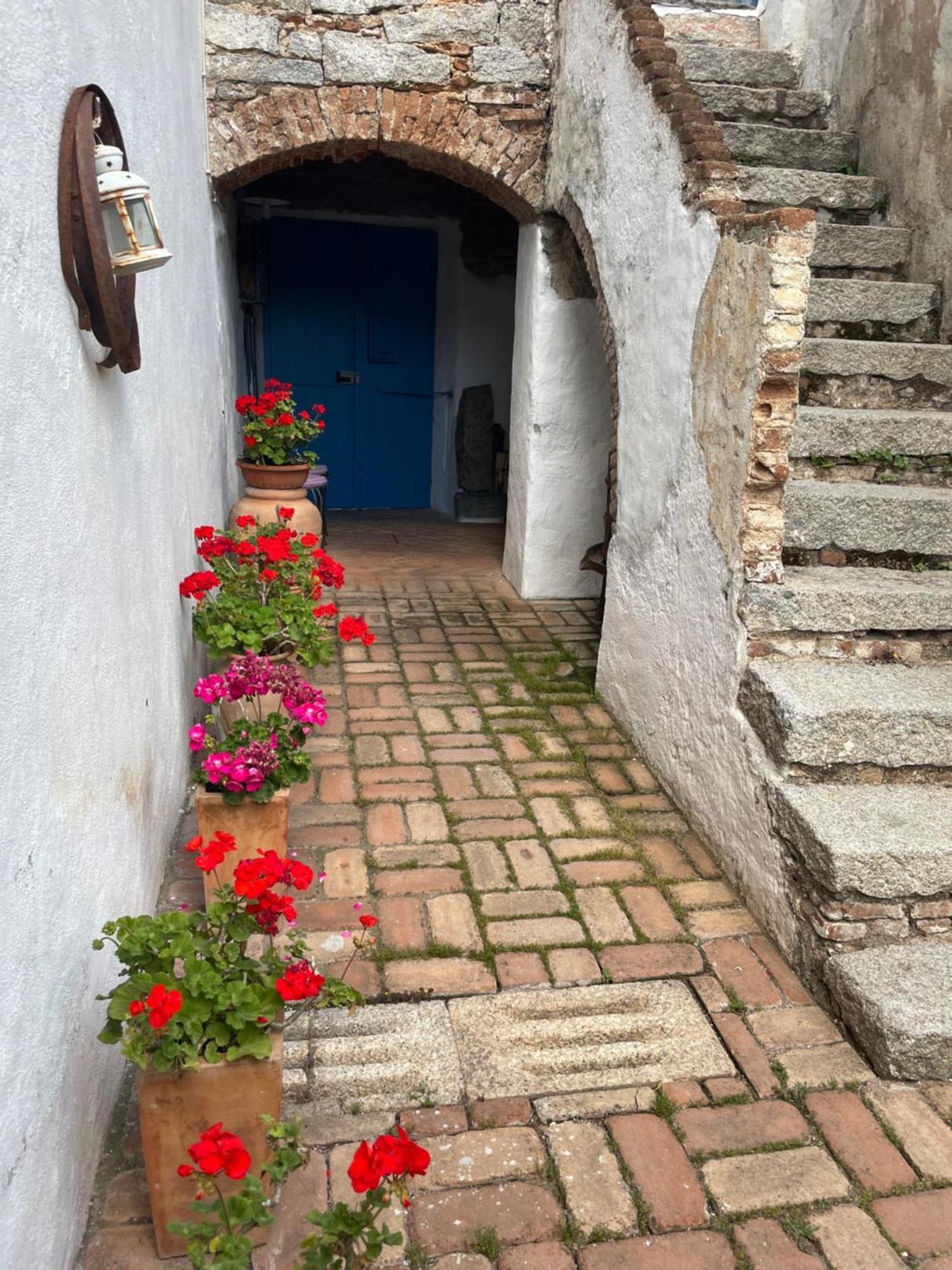 B&B Corte San Lussorio Oliena Exterior foto