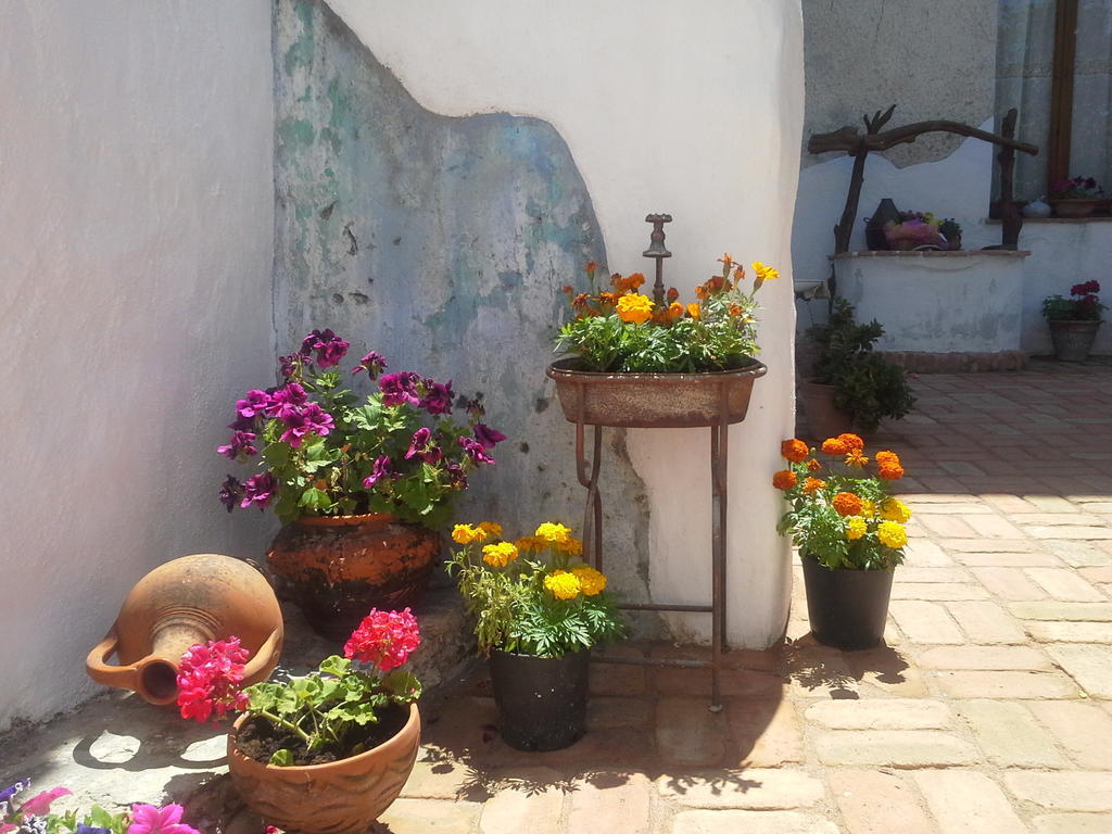 B&B Corte San Lussorio Oliena Exterior foto